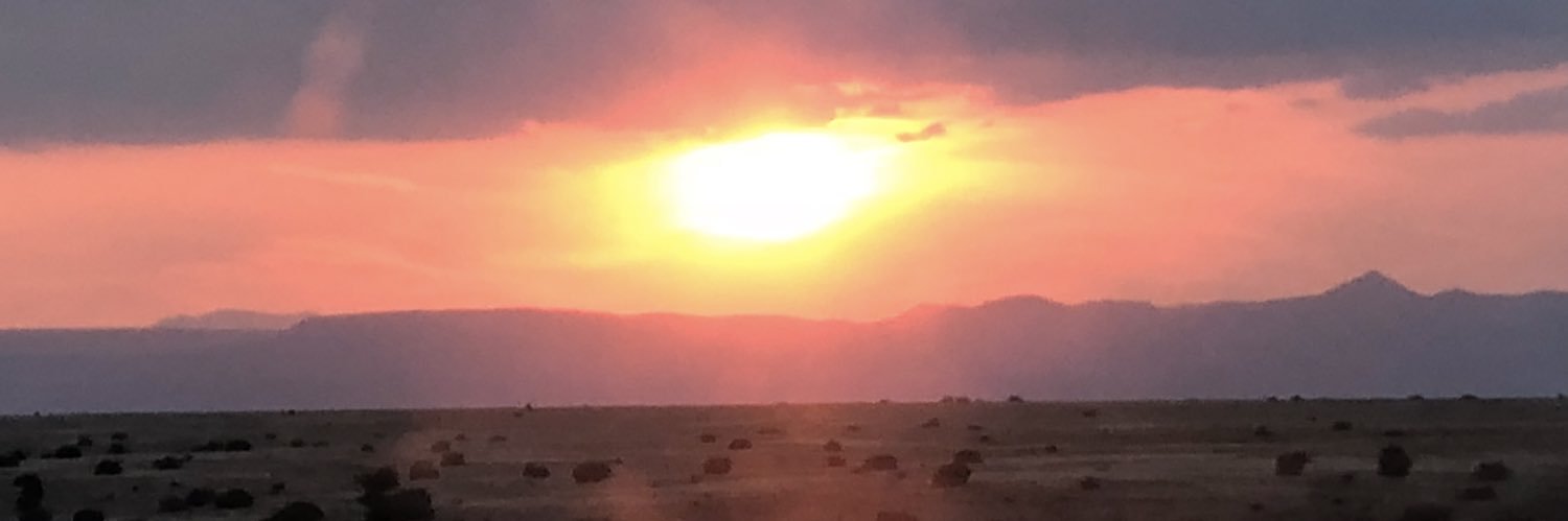 adin 🌻 🇺🇦 banner