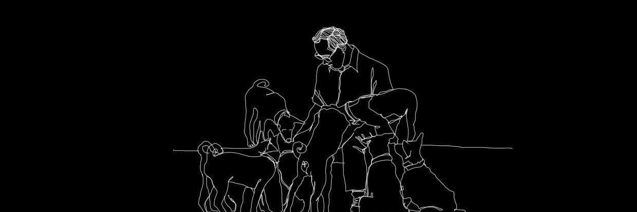 PetinthaiDotCom's profile banner image