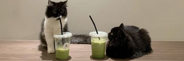 matchaneeko Profile Banner