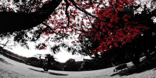 Miley banner