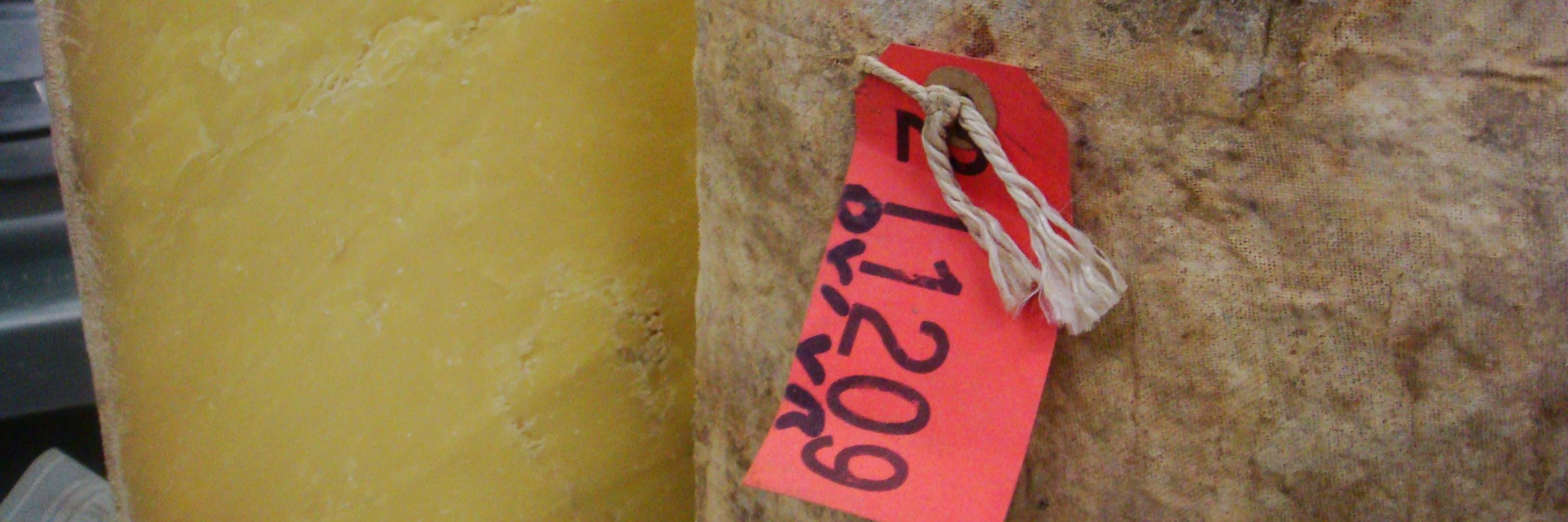 Cheeseman banner