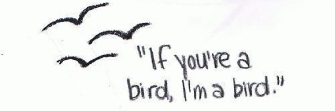 Hiya_Miiah's profile banner image