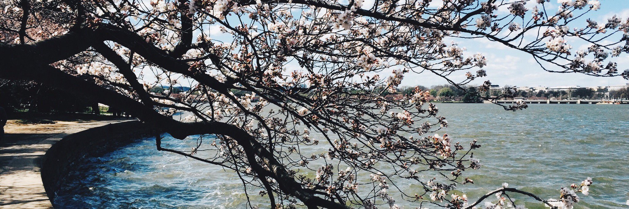 LexBex's profile banner image