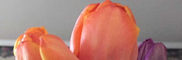 stronglorna Profile Banner