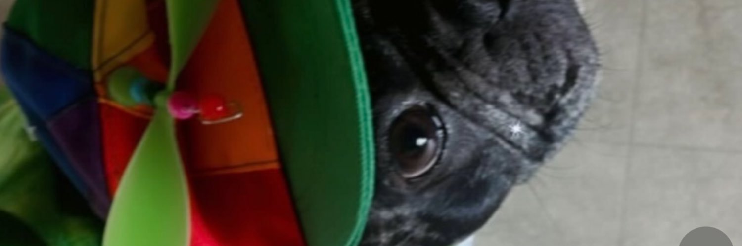 cchhaance's profile banner image