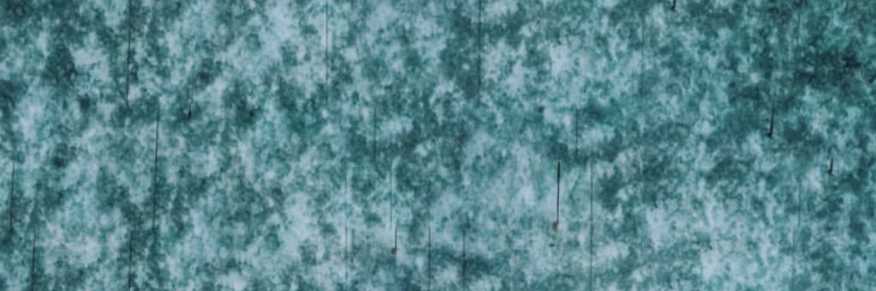 EmiQuattrocchio's profile banner image
