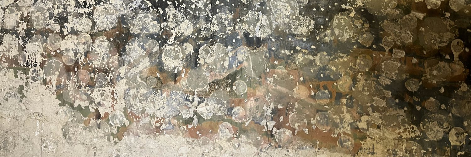 marona5's profile banner image