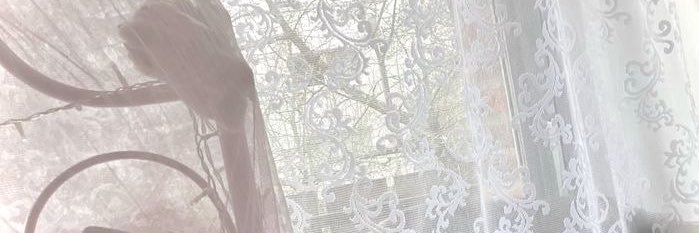 Tertapi's profile banner image