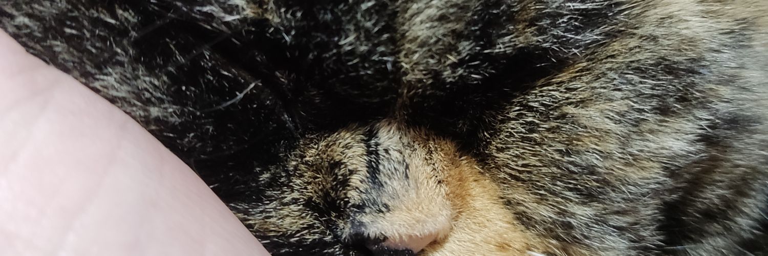 LafZgr's profile banner image