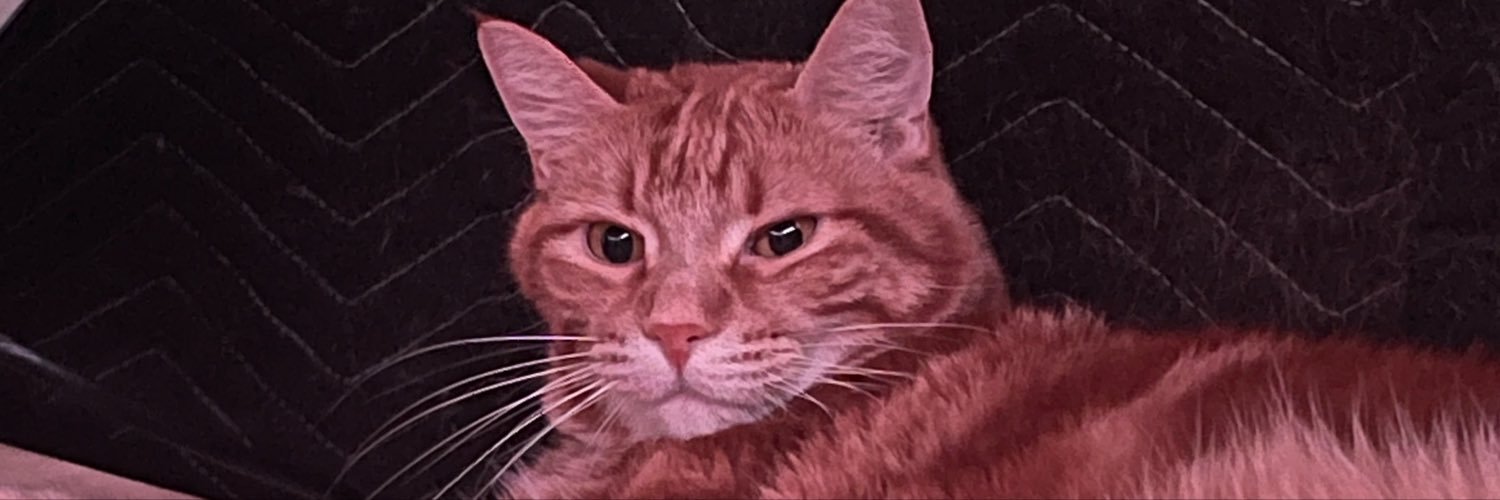 criscutfry's profile banner image