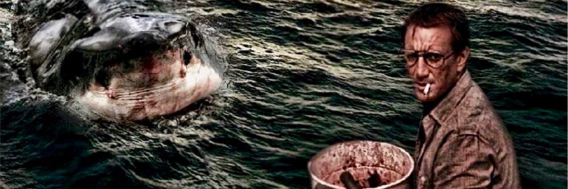 Chris Bradish banner