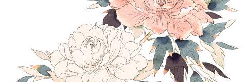 eno_bara's profile banner image