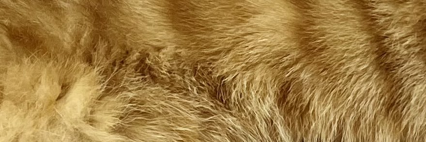 ChobiChobi822's profile banner image