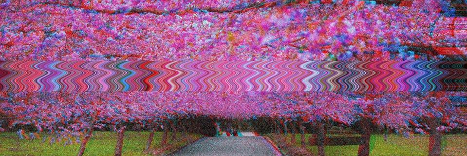 TypicalNAPlayer's profile banner image