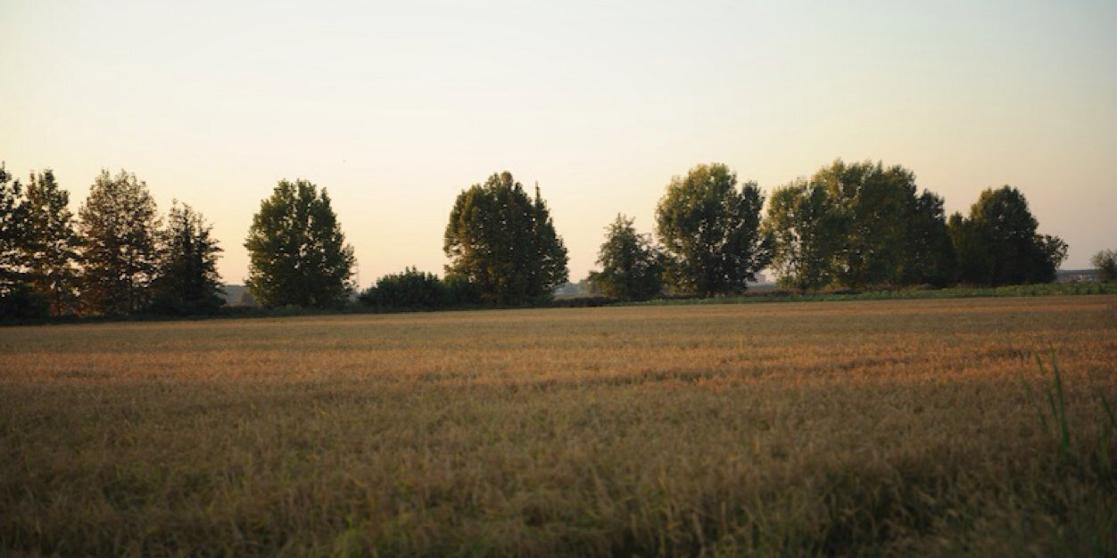 Dademanto's profile banner image