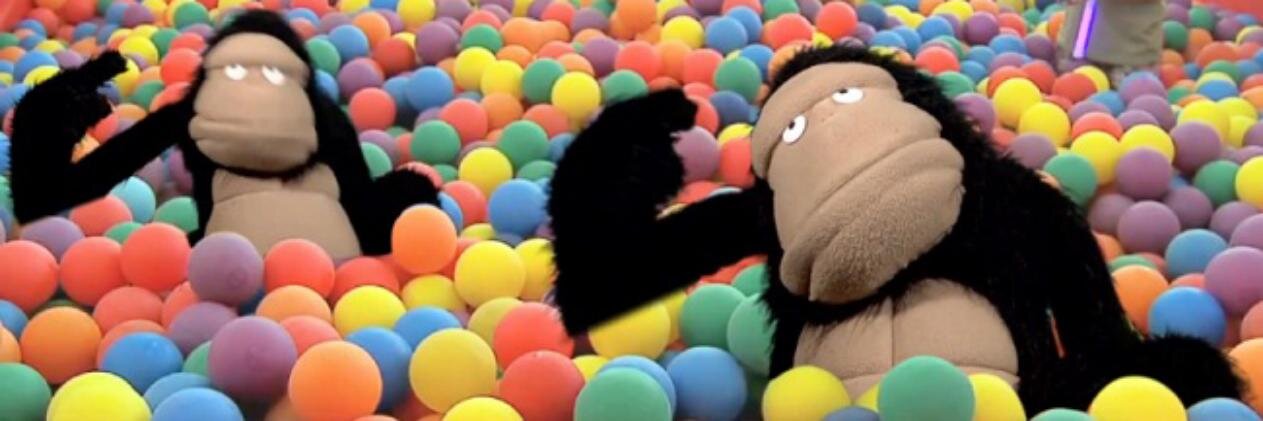 The AAP Podcast banner