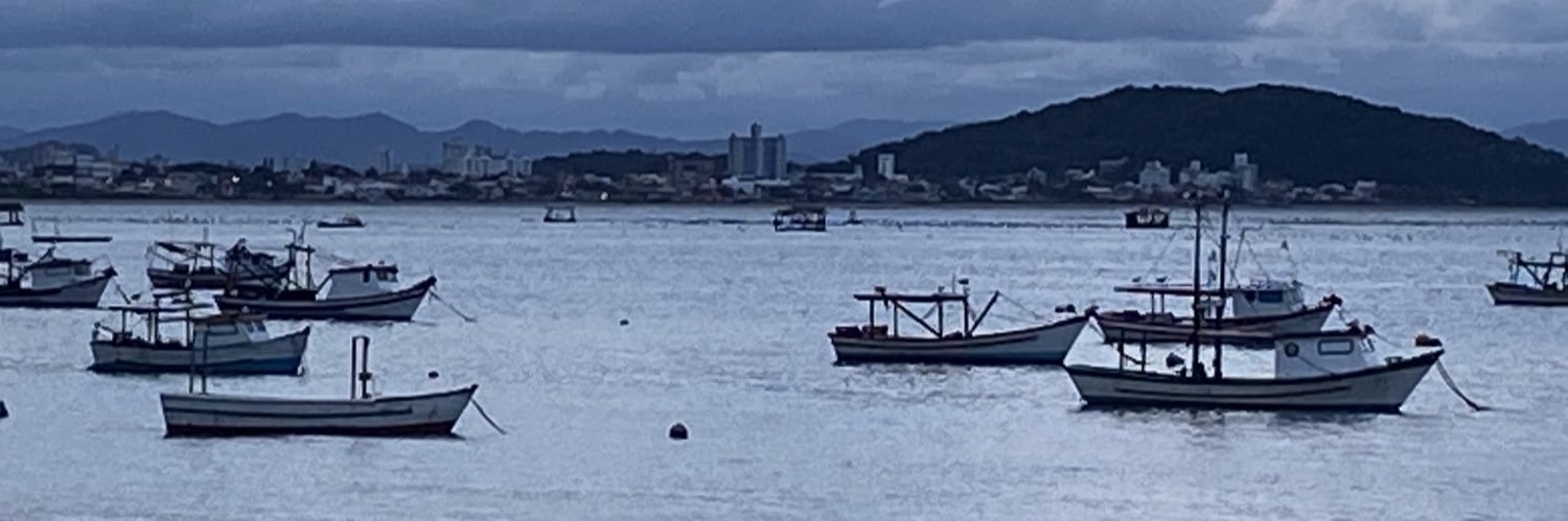 Emerson Luis Breis banner