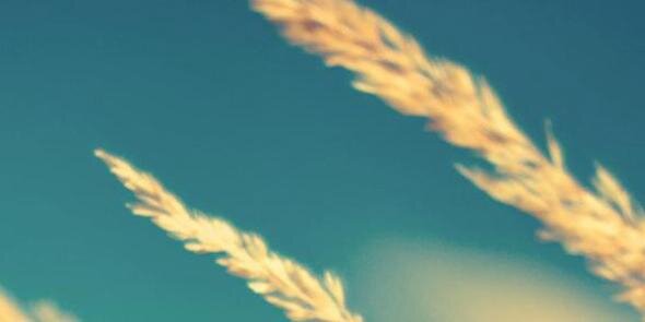 Most Beautiful Spots banner