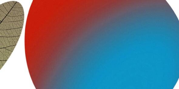 mindsunlimited's profile banner image