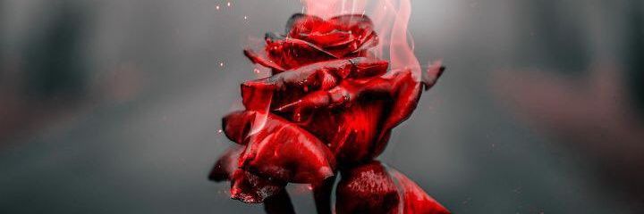 ekohjon's profile banner image