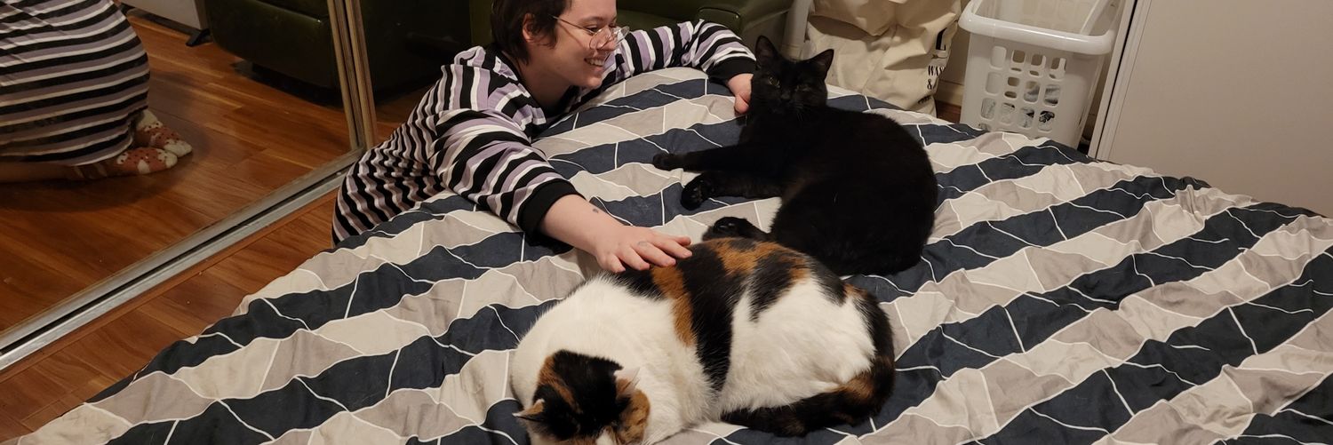 FormedTransWife's profile banner image