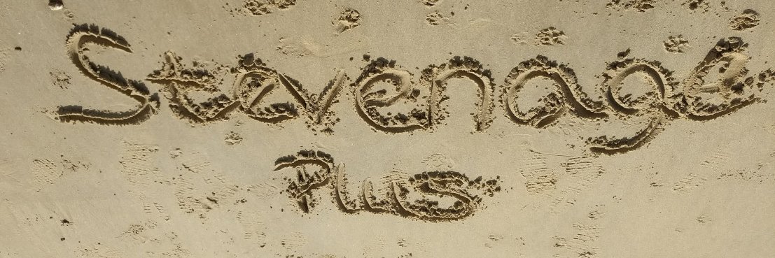 Stevenage Plus social group banner