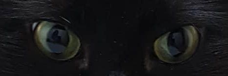 mcdovale's profile banner image