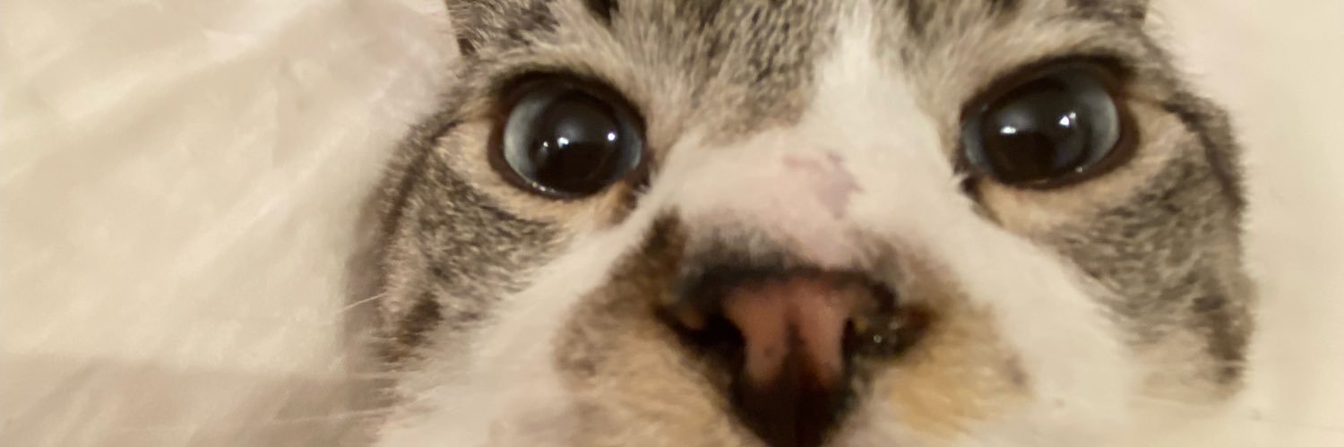 _JonBox_'s profile banner image