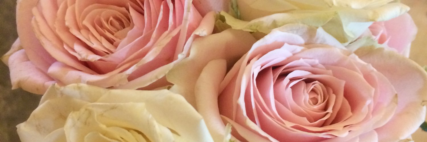 vinaoctavin's profile banner image
