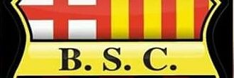 Alvarito banner