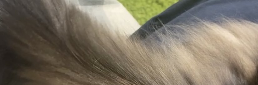 ogaviolin's profile banner image