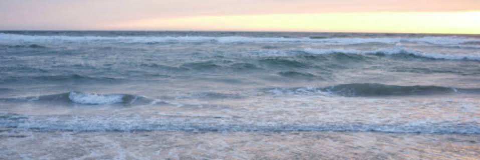 bearenee_'s profile banner image
