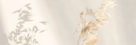 asteraisaathree's profile banner image