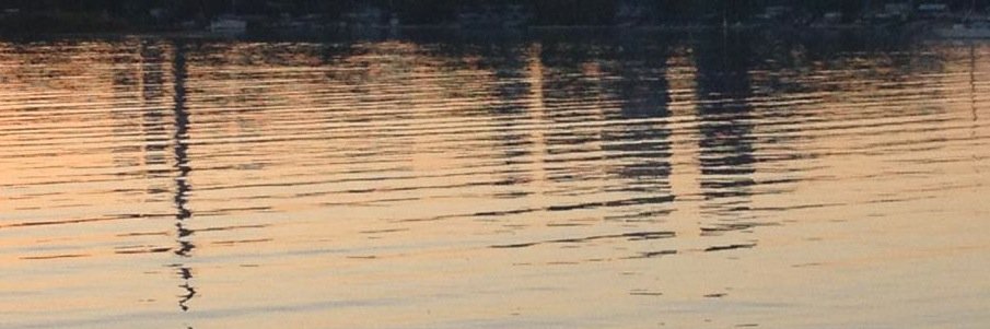 Luis Sequeira banner