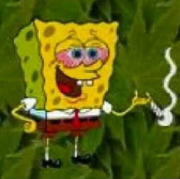 JayModz420's profile banner image