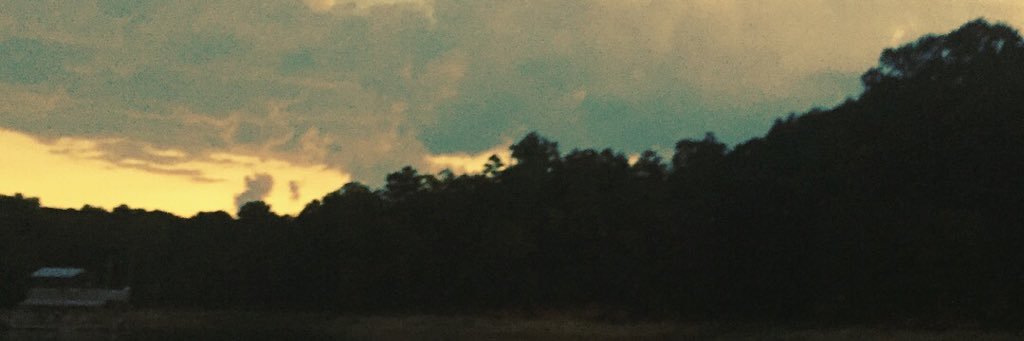 Samaralou's profile banner image