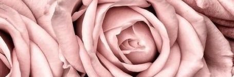 djempressrah's profile banner image