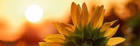 lethu89's profile banner image
