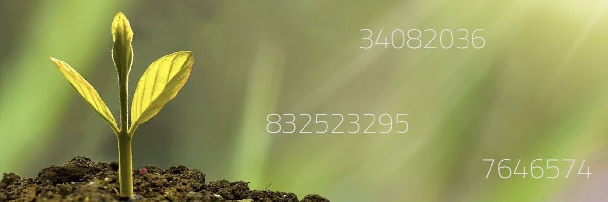 21_aryaam's profile banner image