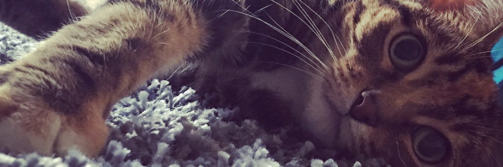 Judzie's profile banner image