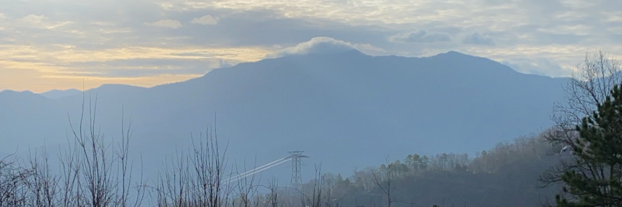 mfoutz16's profile banner image