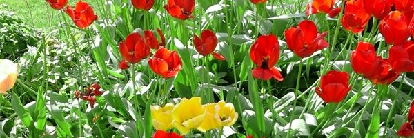 MariaLoades Profile Banner