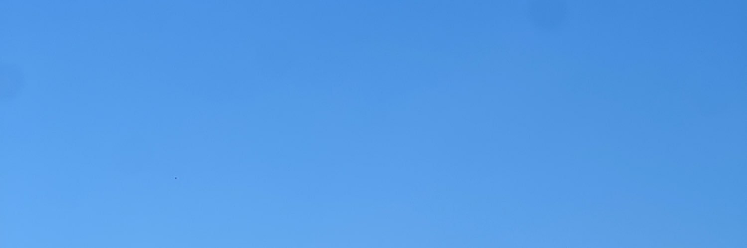 murilove banner