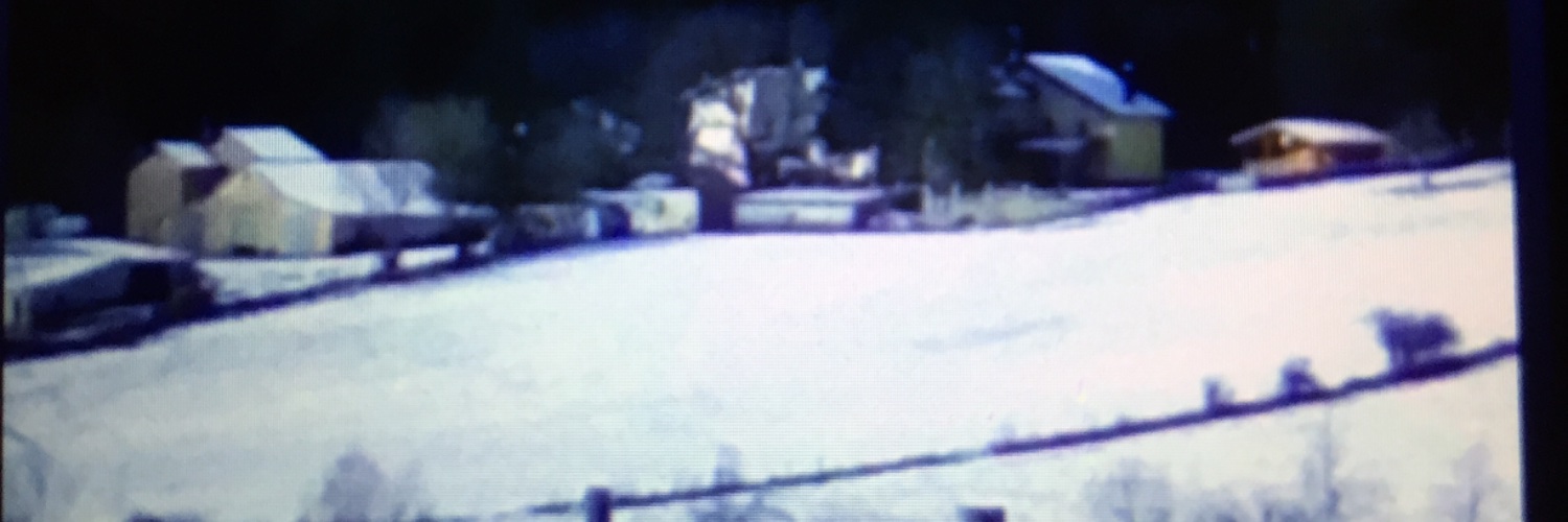 vinecenzo1's profile banner image