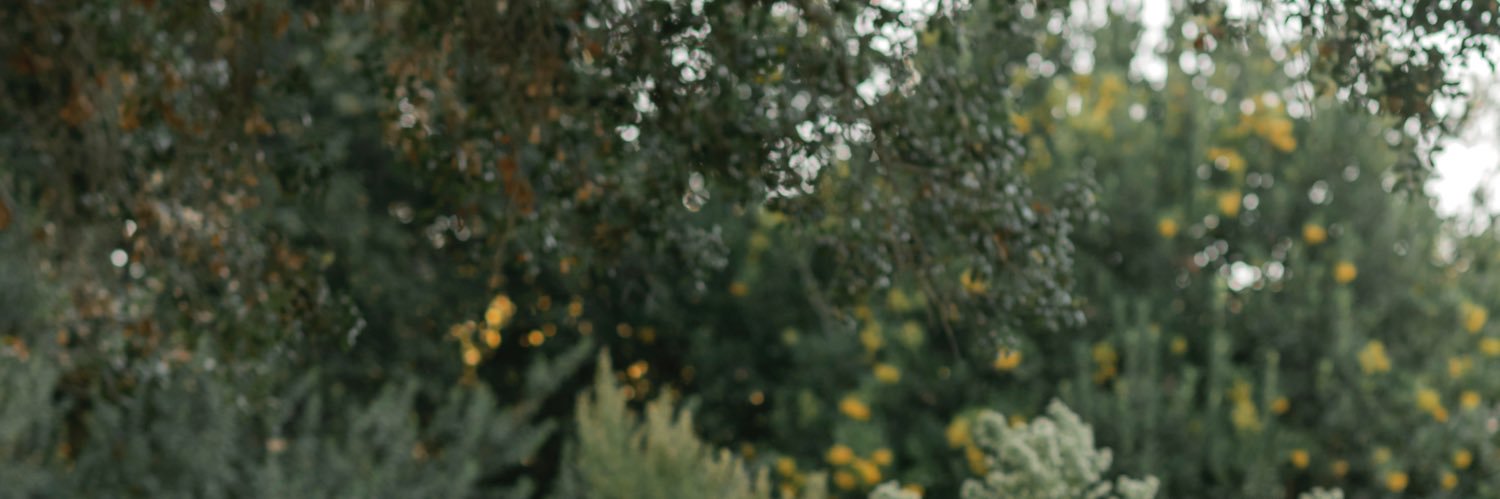 glenneggert's profile banner image