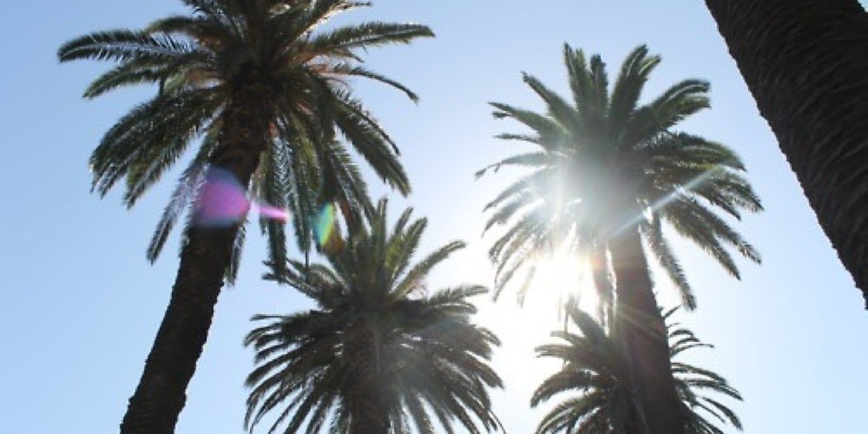 luke. banner