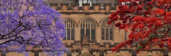 Prof Ben Saul - UN SR Human Rights & Counterterror banner