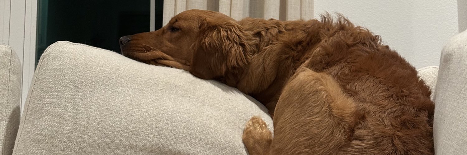 michaelandrichh's profile banner image