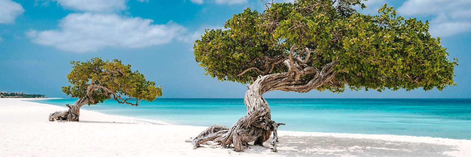 ArubaBR's profile banner image