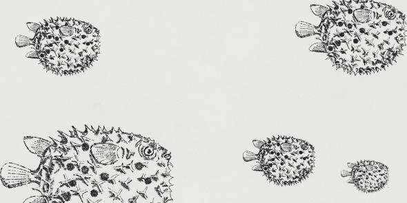 Le_Fugu's profile banner image